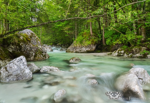 Frühling an der Ramsauer Ache