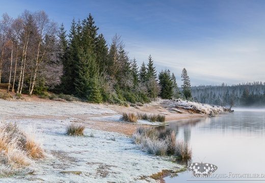 Frostiger Morgen